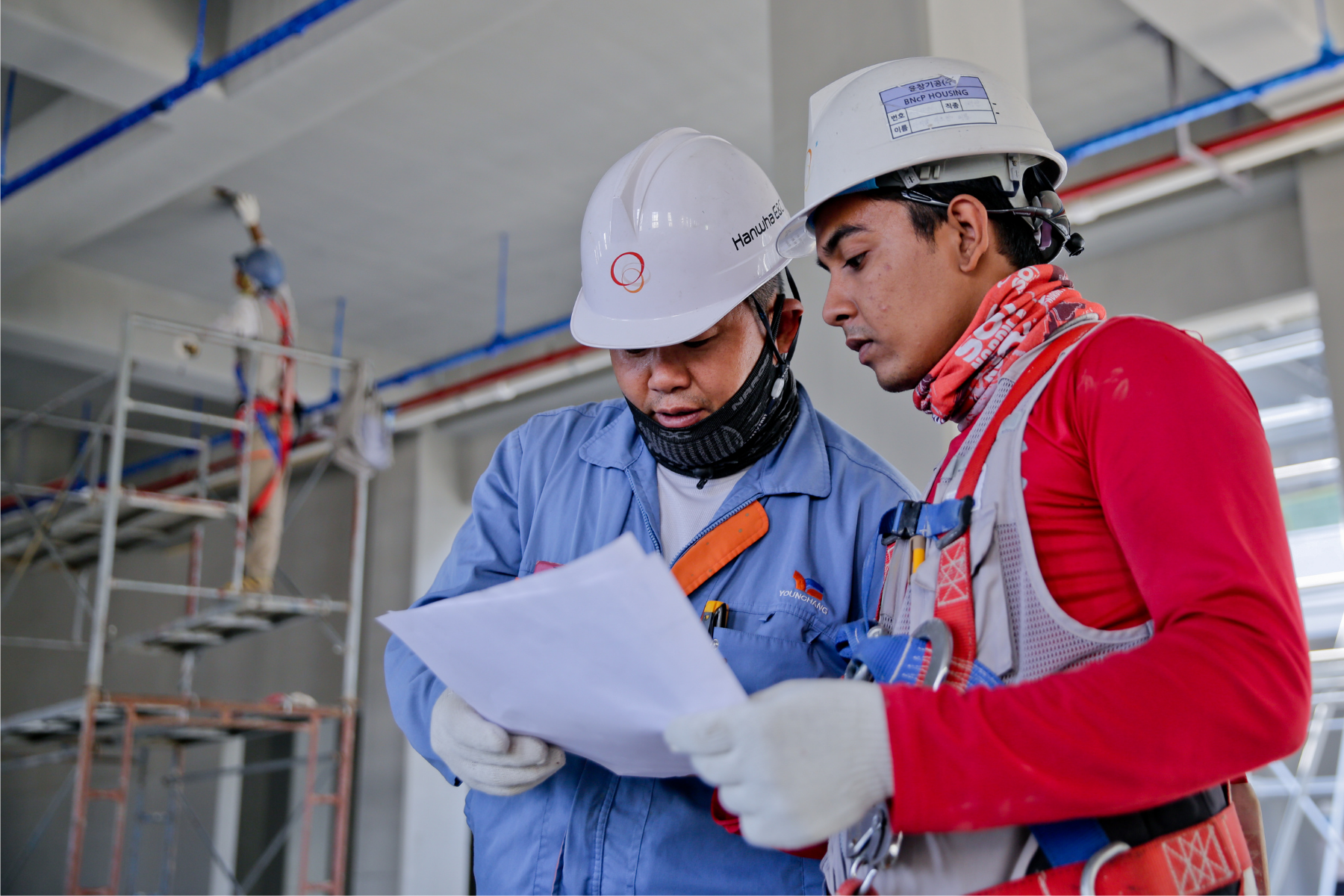 Two young males reading a document in the workplace